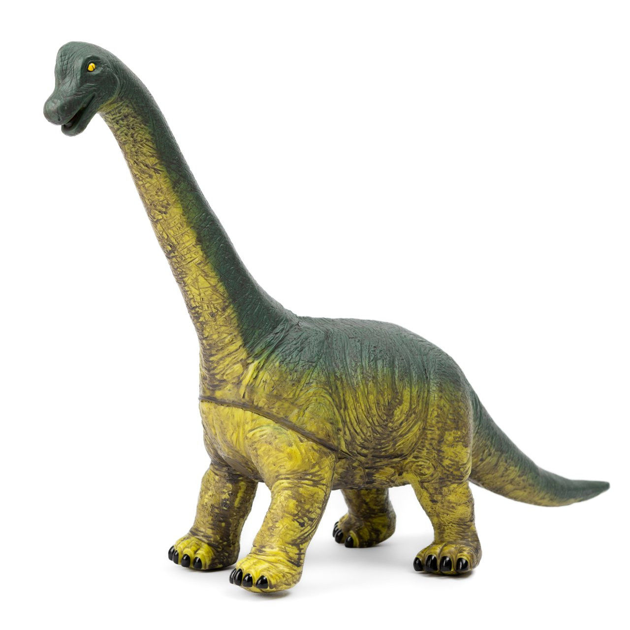Dinosaurier Brachiosaurus, XL